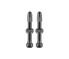 Schwalbe Tubeless Presta szelep 40mm (2 darab)